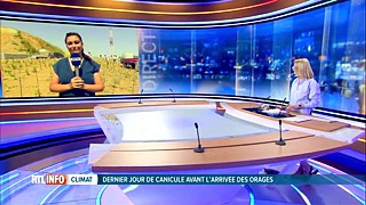 Sécheresse : le vignoble de Landelies est en danger