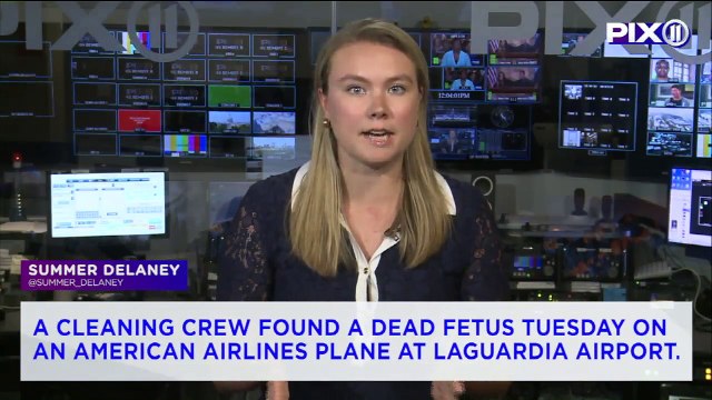 Dead Fetus Found on Plane at LaGuardia Airport