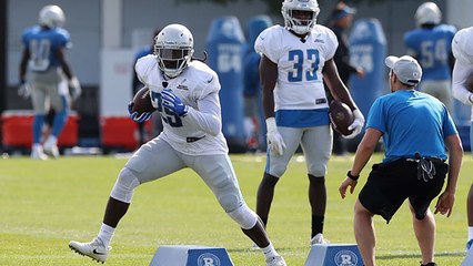 Palmer: Patricia using Patriots' RB approach with Lions