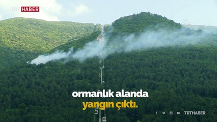 Uludağ'ın eteklerinde orman yangını