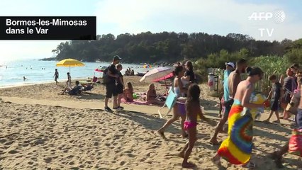 Dans le Var, les vacanciers luttent contre la chaleur