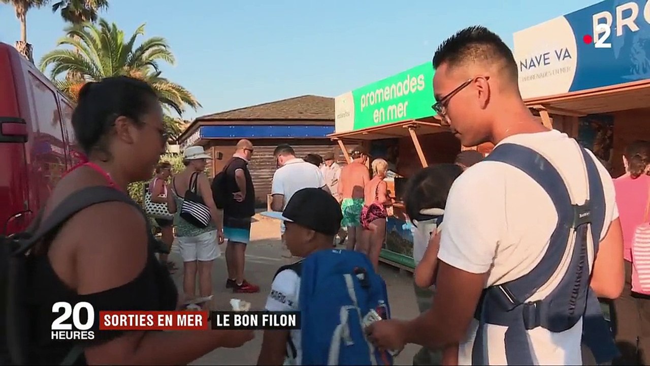 Vacances : le bon filon des sorties en mer