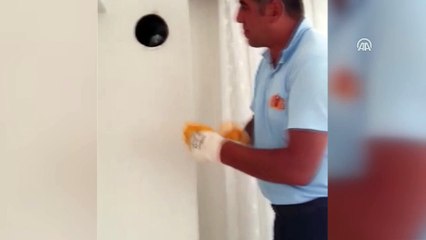 Sivas'ta güvercin ve leylek kurtarma operasyonu