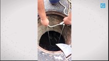 Resgate de cachorro em bueiro