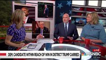 Steve Schmidt warns the 2018 midterms are the most important elections in American history