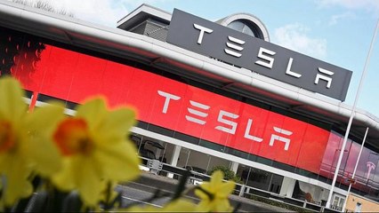 Elon Musk considering taking Tesla private