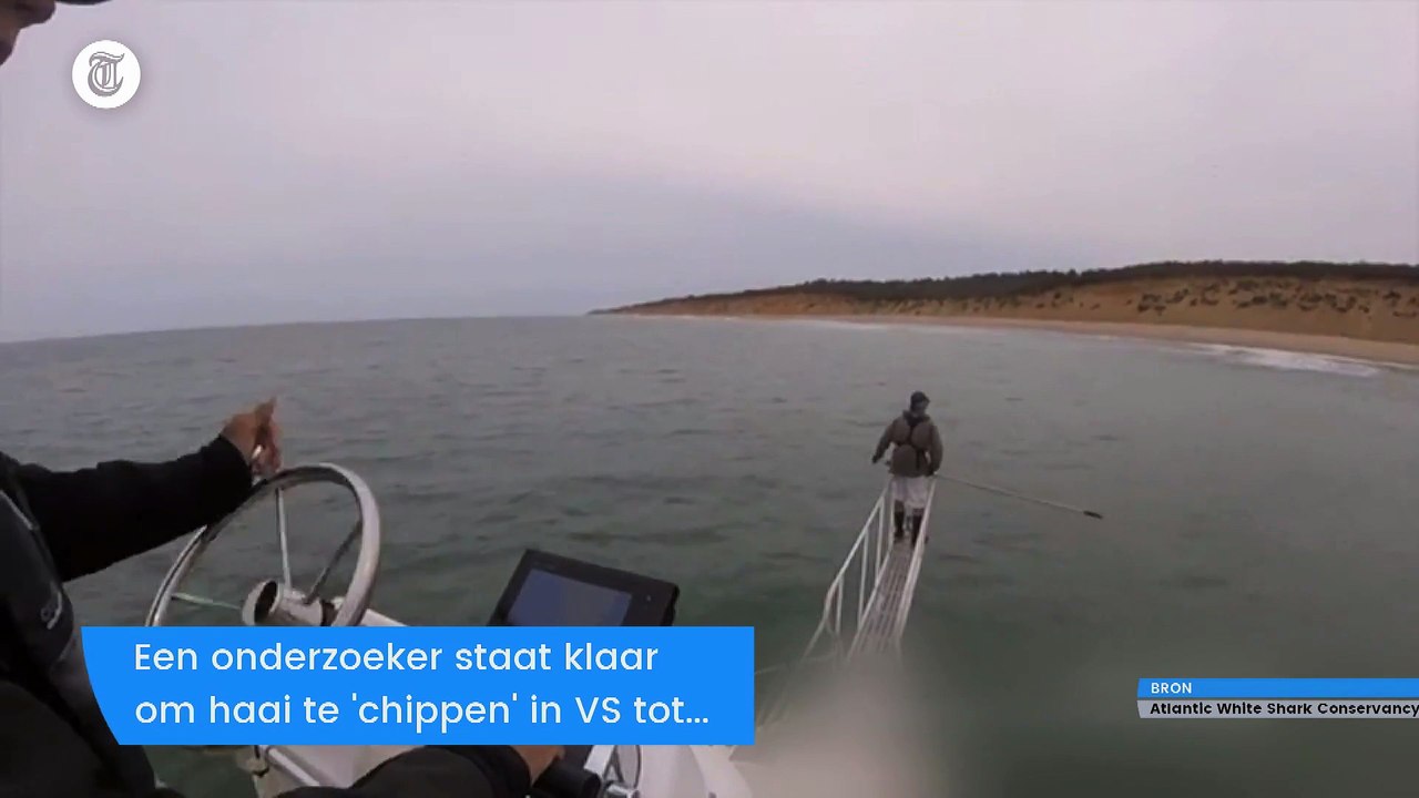 Plotselinge haaienaanval gefilmd