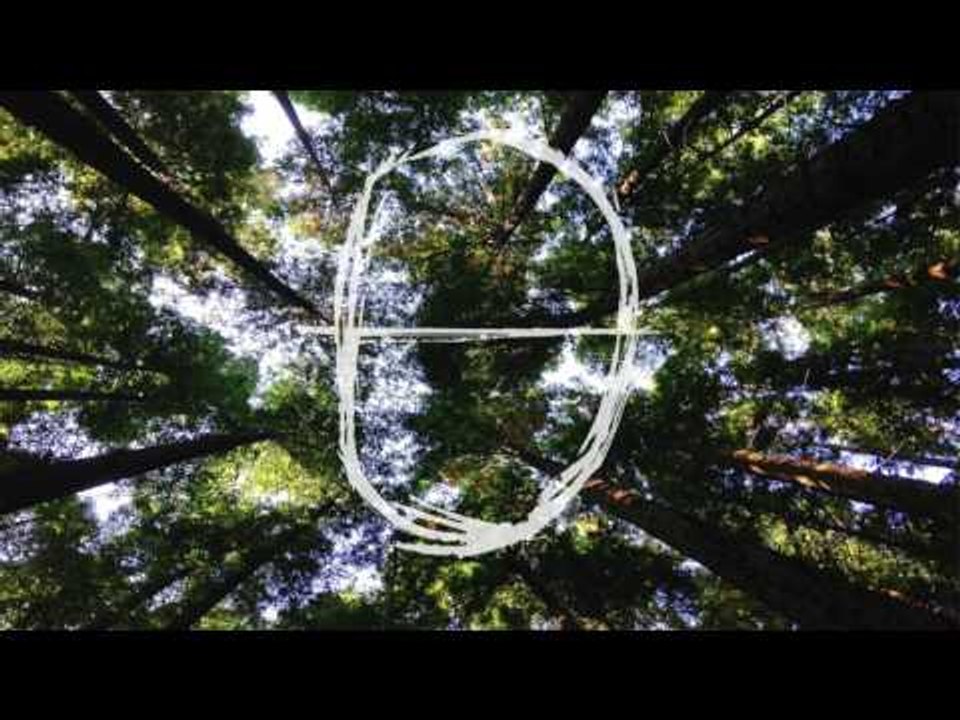 smino - blkjuptr