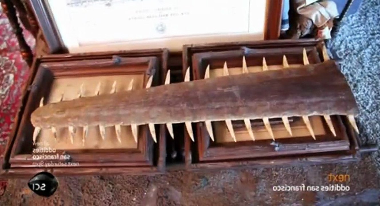 Oddities San Francisco S02  E03 Heads Up