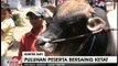 Puluhan Sapi Ikuti Kontes Sapi Tergemuk di Probolinggo