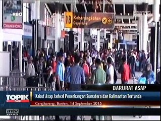 Akibat Kabut Asap, Jarak Pandang Hanya 80 Meter