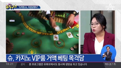 ‘일본 영주권자’ 슈, 도박죄 적용 가능