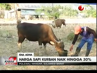 Jelang Hari Raya Kurban, Harga Sapi Merangkak Naik