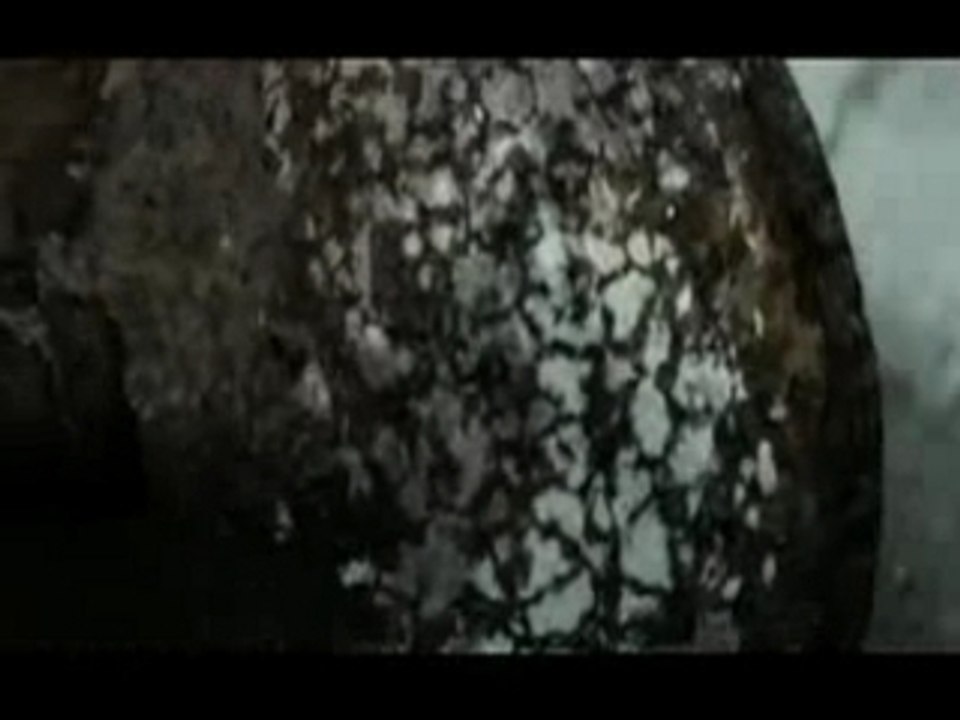 Foot Print