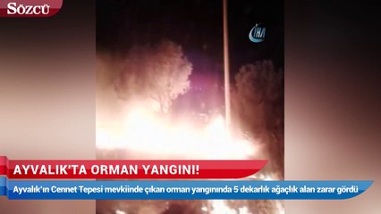 Ayvalık’ta orman yangını!