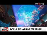 5 Akuarium Bawah Laut Terbaik di Dunia