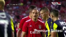 Benfica-Fenerbahce 1-0 - All Goals & Extended Highlights - 07/08/2018 HD