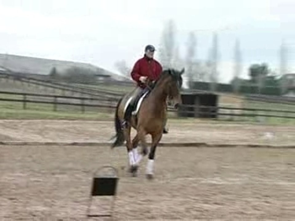 PLR - Patrick LE ROLLAND - Leçon Dressage Cheval 3/6