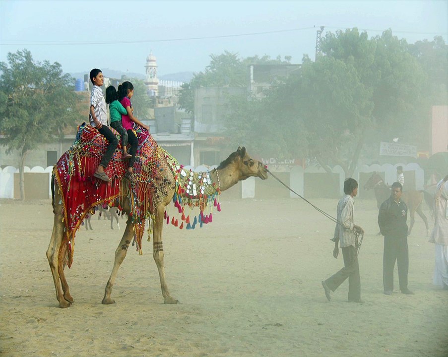 Places to see in Pushkar