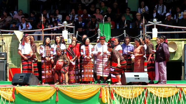 Chapchar Kut 2014 - Spring festival of Mizoram
