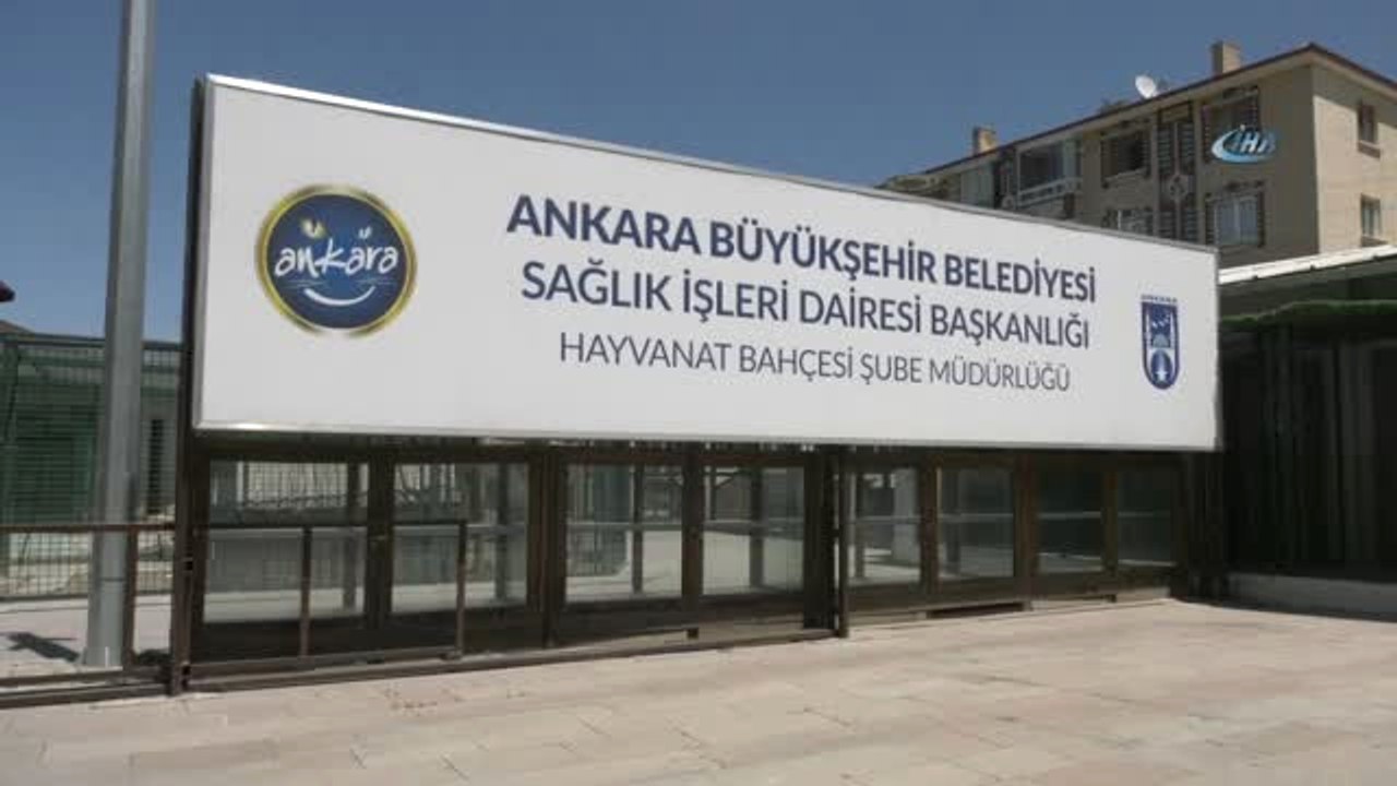 Sokakta Çalışan Çocuklar Evcil Hayvanlar Parkı'nda