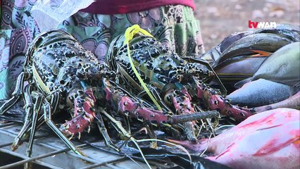 More than 200 delegates and officials from the APEC's 21 economies are in Port Moresby in the Food Security Week in Port Moresby.The Food Security Week includ
