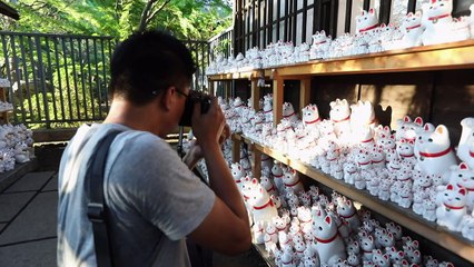 معبد ياباني يزخر بتماثيل قطط جالبة للسعد يستقطب رواد "إنستغرام"