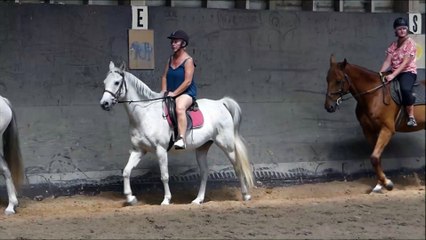 Balade à cheval