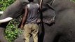 فیل های وحشی همه ساله شماری از مردم محلی را در ایالت کرناتاکا در جنوب هند لگد مال کرده و از بین می برند. اکنون مقام ها برای محافظت مردم محوطۀ مخصوص زندان مانند