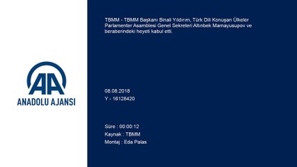 TBMM Başkanı Yıldırım TÜRKPA heyetini kabul etti - TBMM