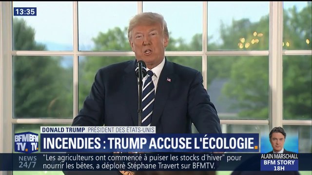 Pour Trump, les incendies sont amplifiés par les lois environnementales... et propose plutôt d'abattre des arbres