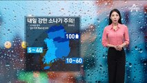 [날씨]내일도 폭염 소나기…전국 곳곳에 소나기