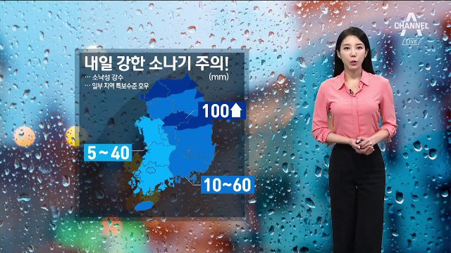 [날씨]내일도 폭염+소나기…전국 곳곳에 소나기
