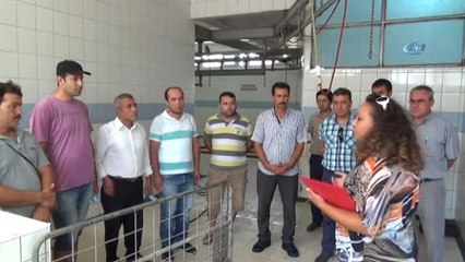 Antalya'da Kurban Kesme Kursu