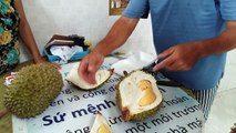 How to 'peel' a durian  - Cách 'khui' sầu riêng