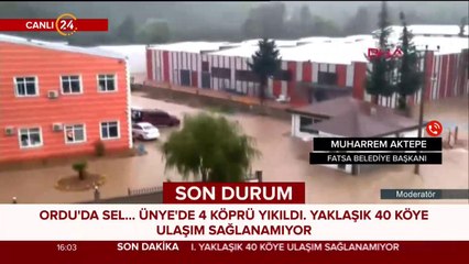 Ünye'de 4 köprü yıkıldı