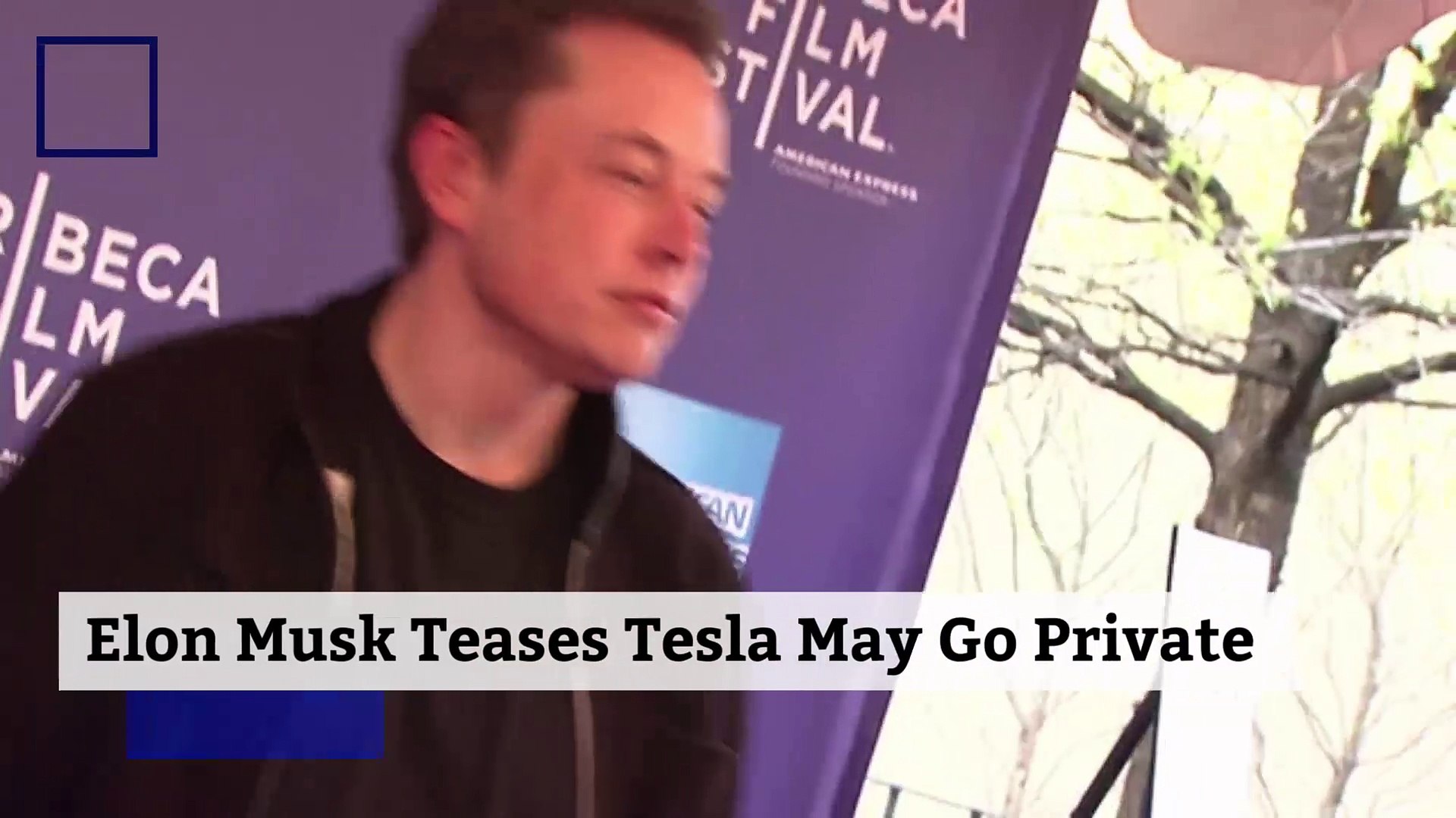Elon Musk Teases Tesla May Go Private