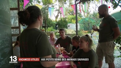 Vacances utiles : être aux petits soins des animaux sauvages