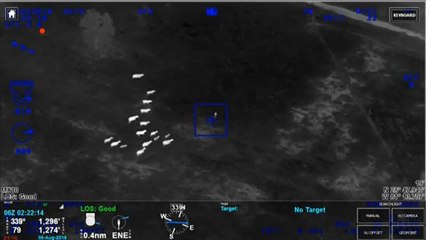 Polisten kaçan şüpheli ineklerin yardımıyla yakalandı