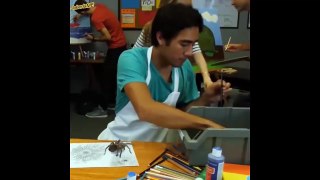 Best Zach King Magic Tricks with Pets - Funny Animals Vines Video