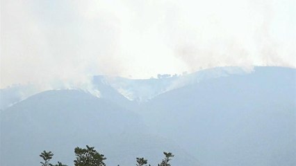 Firefighters battle Iberia wildfires