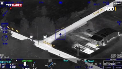 Florida'da polisten kaçmaya çalışan hırsızı inek sürüsü kovaladı