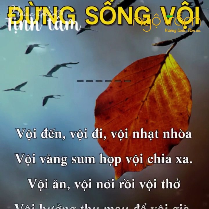 ĐỪNG SỐNG VỘI - TRẦM HƯƠNG NGỘ TRẦM