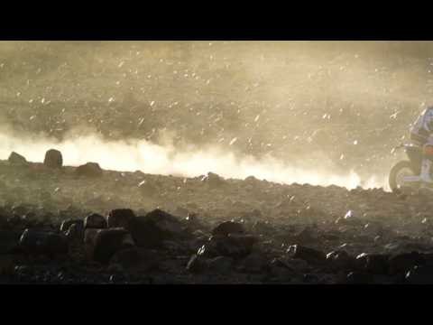 Rally Dakar 2013 Cyril Despres Profile