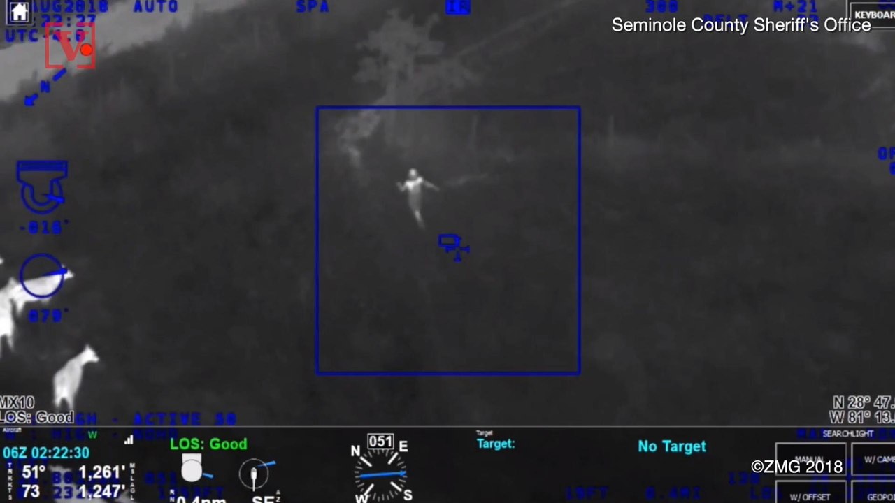 Suspected Car Thief Gets Corralled By Cows!