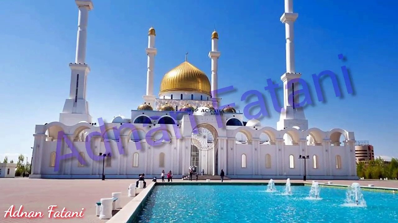 مجس حجازي