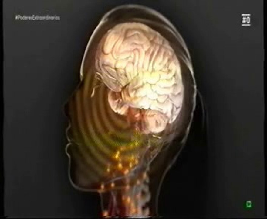 Cerebro: Las emociones (Luis Miguel Martinez Otero)