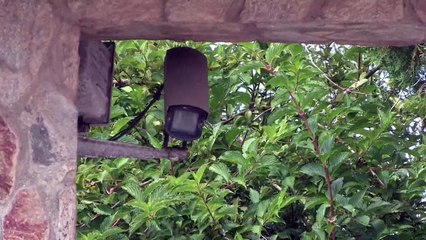 Detenido el patriarca del clan Charlines y uno de sus hijos en macrooperación antidroga