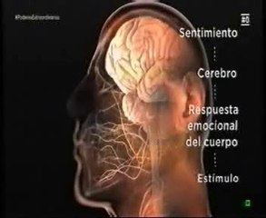 Emociones: Musica y cerebro