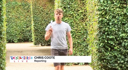 GOODLINES: August 9th 2018